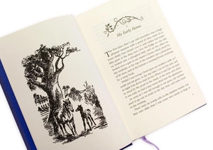 black beauty: puffin clothbound classics