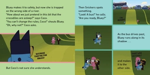 bluey: shadowlands (ladybird)