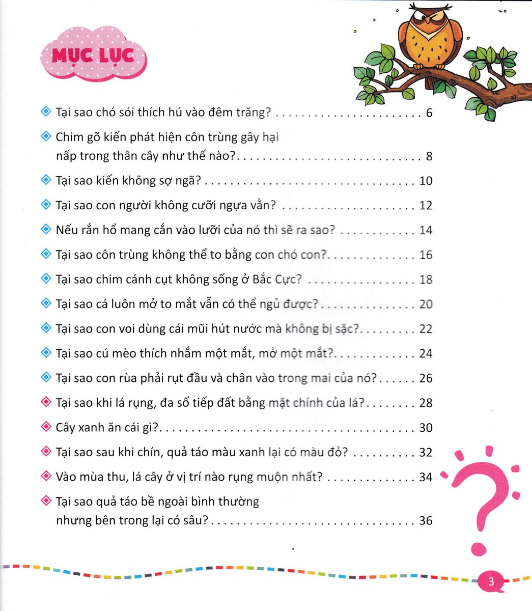 Bo
						
										
										10 Van Cau Hoi Vi Sao -  Bach Khoa Tri Thuc Thieu Nhi - Quyen 5 (Tai Ban 2025)