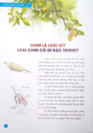 bộ 10 vạn câu hỏi vì sao - chim và động vật biển (tập 1)