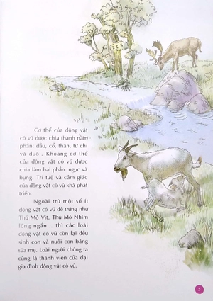 bộ 10 vạn câu hỏi vì sao - động vật có vú (tập 1)