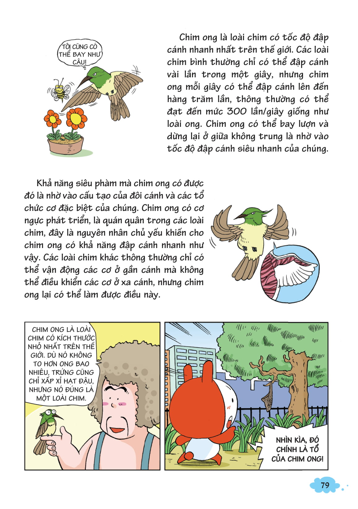 bộ 10 vạn câu hỏi vì sao - khám phá thế giới động vật - bay trên bầu trời 1 (tái bản 2018)