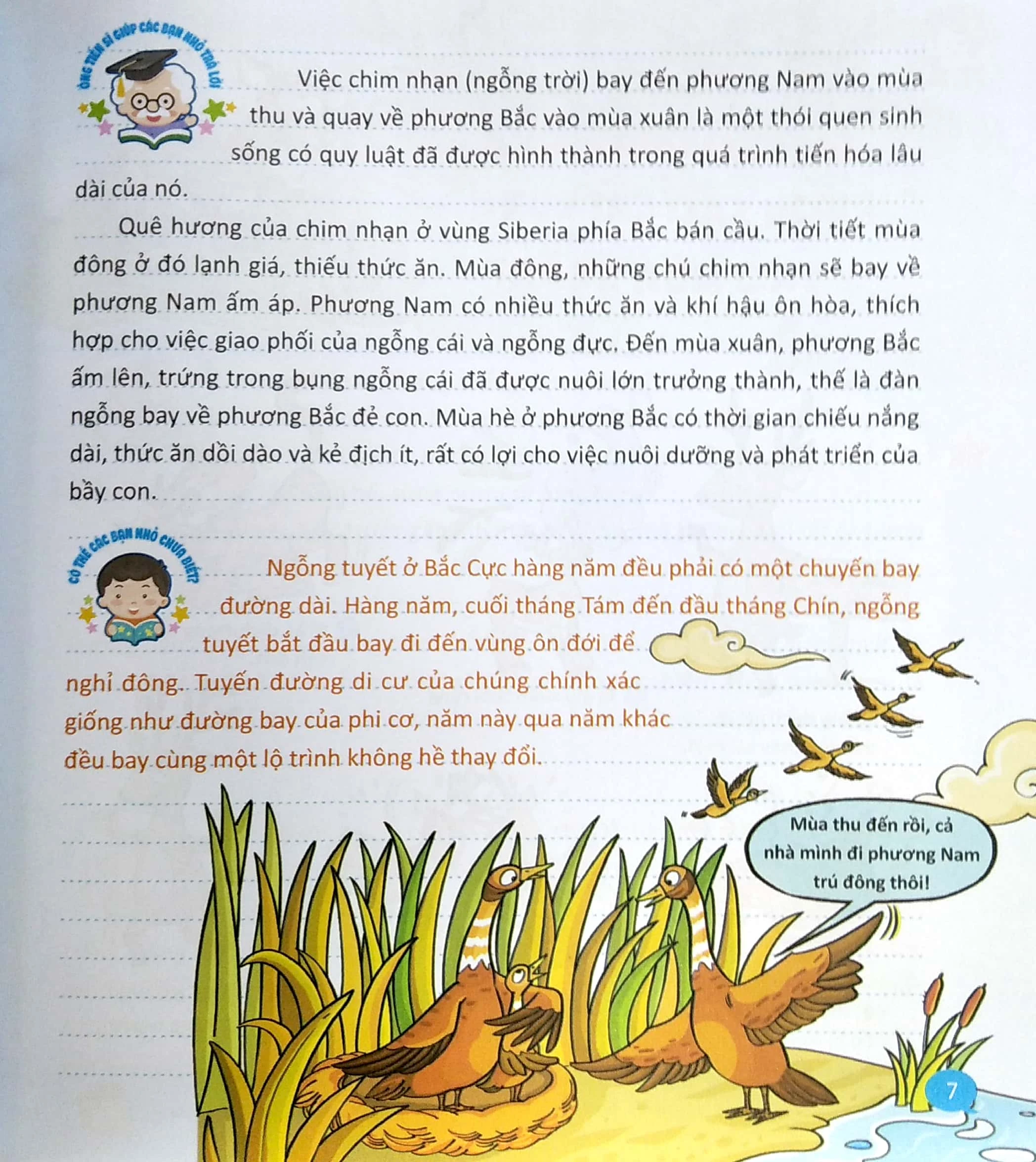 Bo
						
										
										10 Van Cau Hoi Vi Sao - Quyen 3 - Sieu Nhi Hoi Nha Khoa Hoc Tra Loi (Tai Ban 2025)