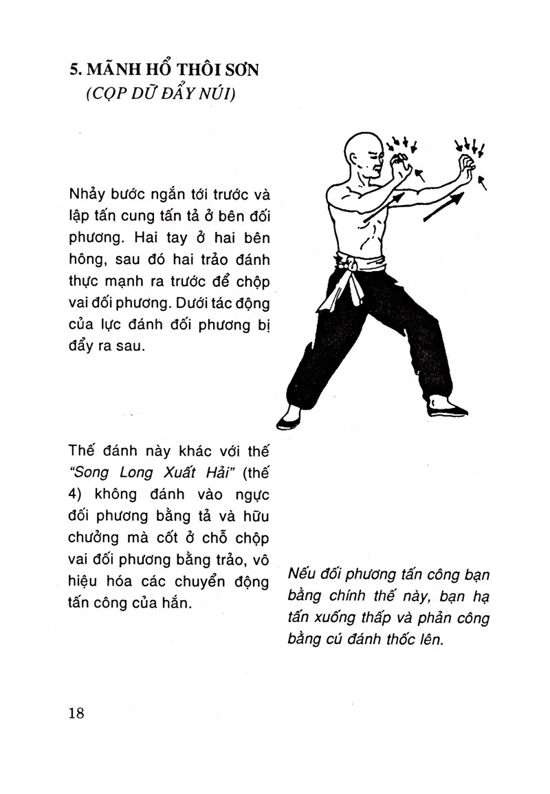 Bộ 108 Thế Chiến Đấu Thiếu Lâm Chân Truyền - Tập 1 (Tái Bản)