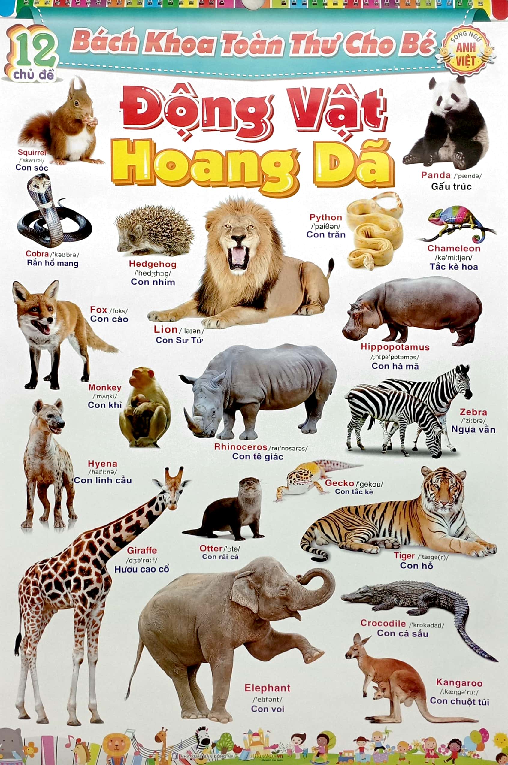 bộ 12 poster bách khoa toàn thư cho bé - song ngữ anh - việt (tái bản 2023)