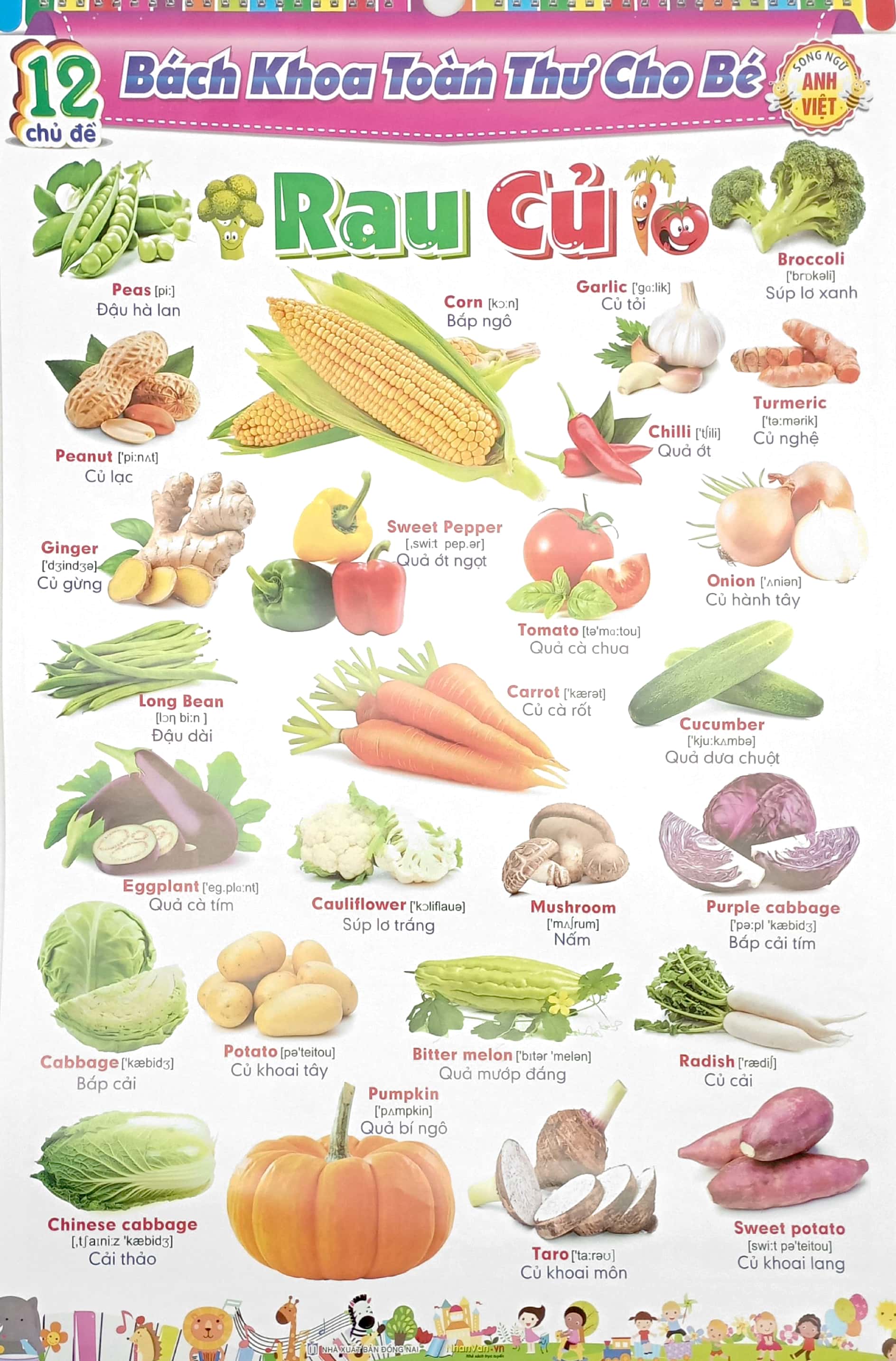 bộ 12 poster bách khoa toàn thư cho bé - song ngữ anh - việt (tái bản 2023)