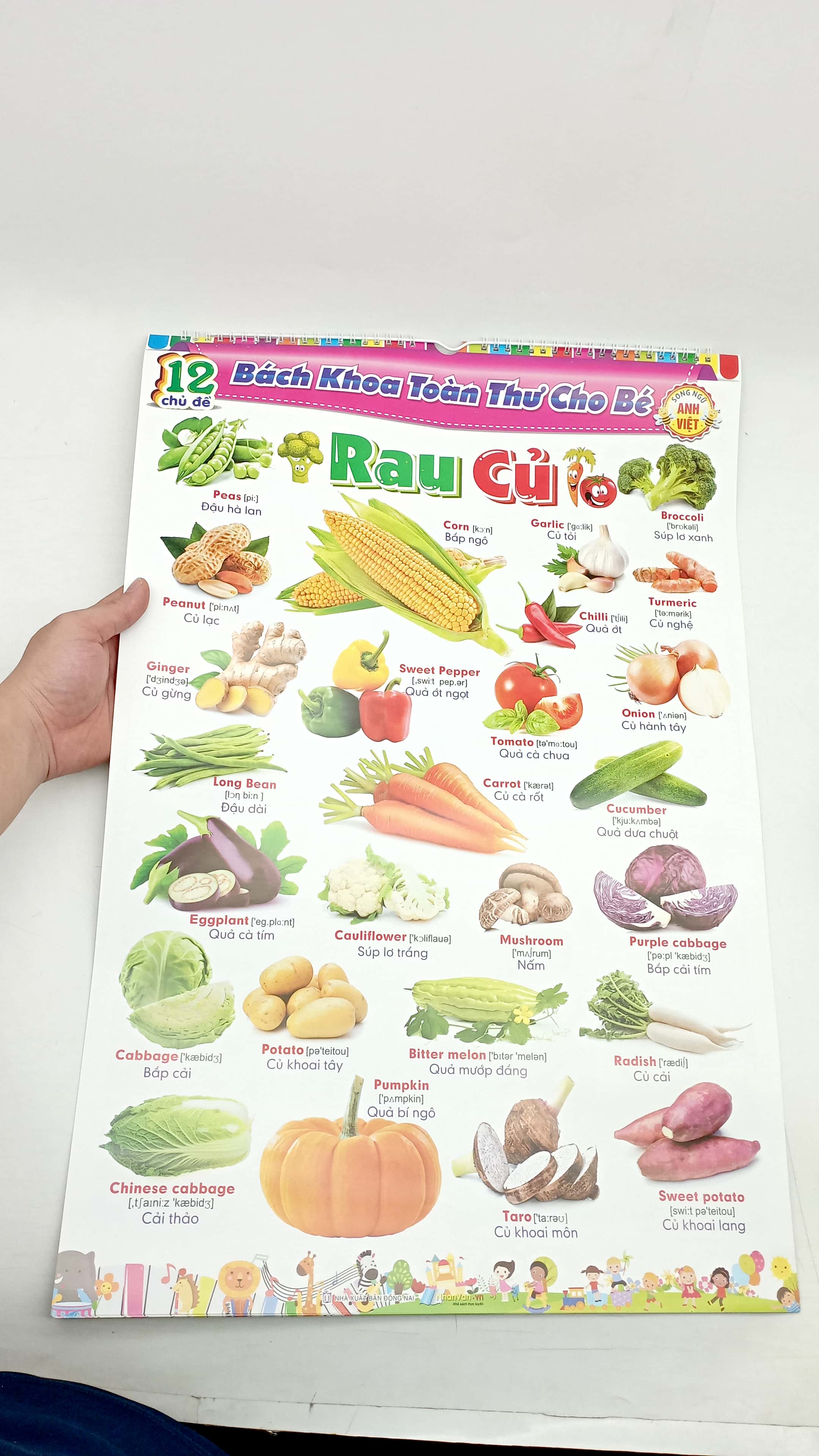 bộ 12 poster bách khoa toàn thư cho bé - song ngữ anh - việt (tái bản 2023)