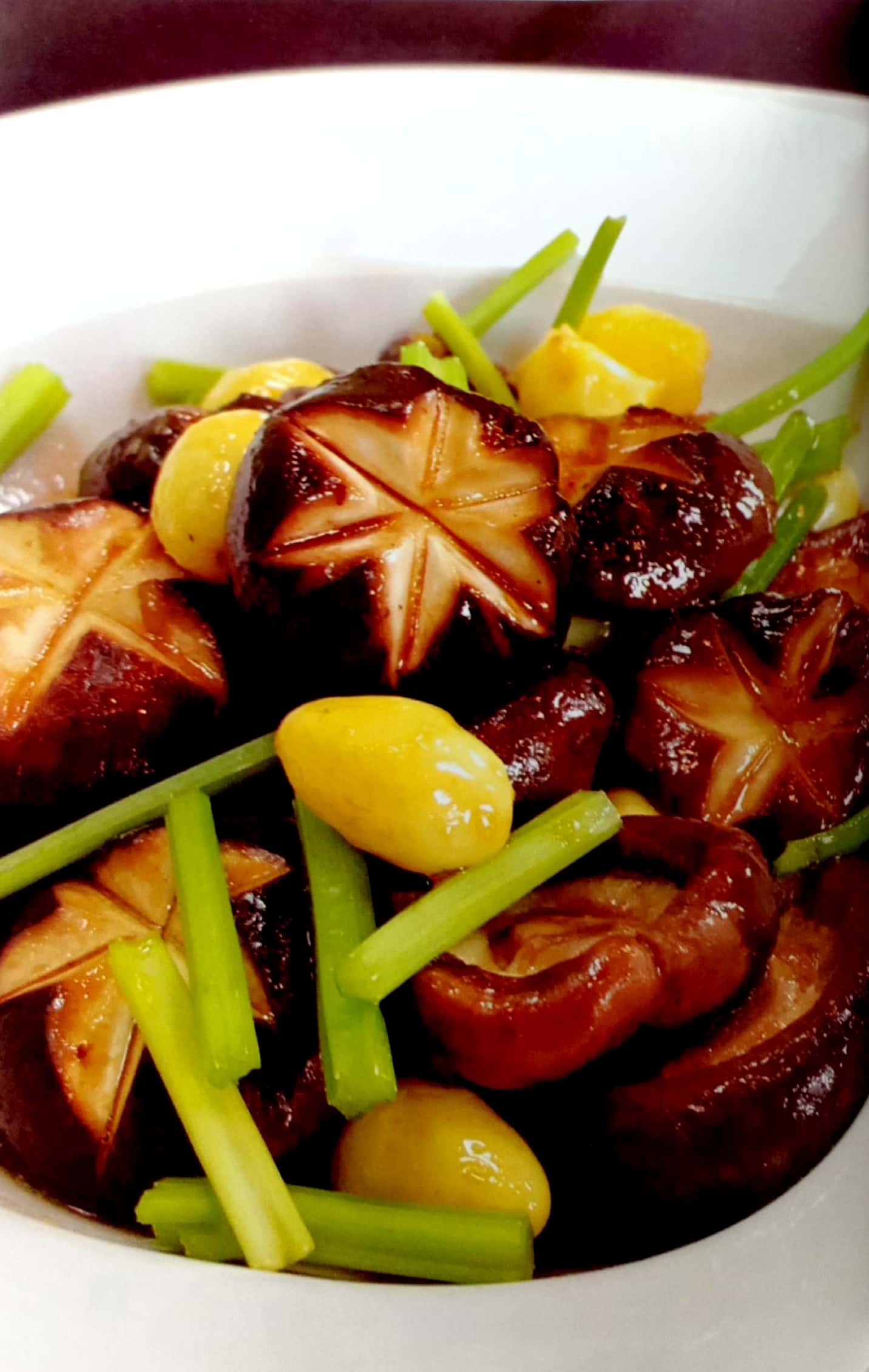 bộ 500 món chay thanh tịnh - tập 16