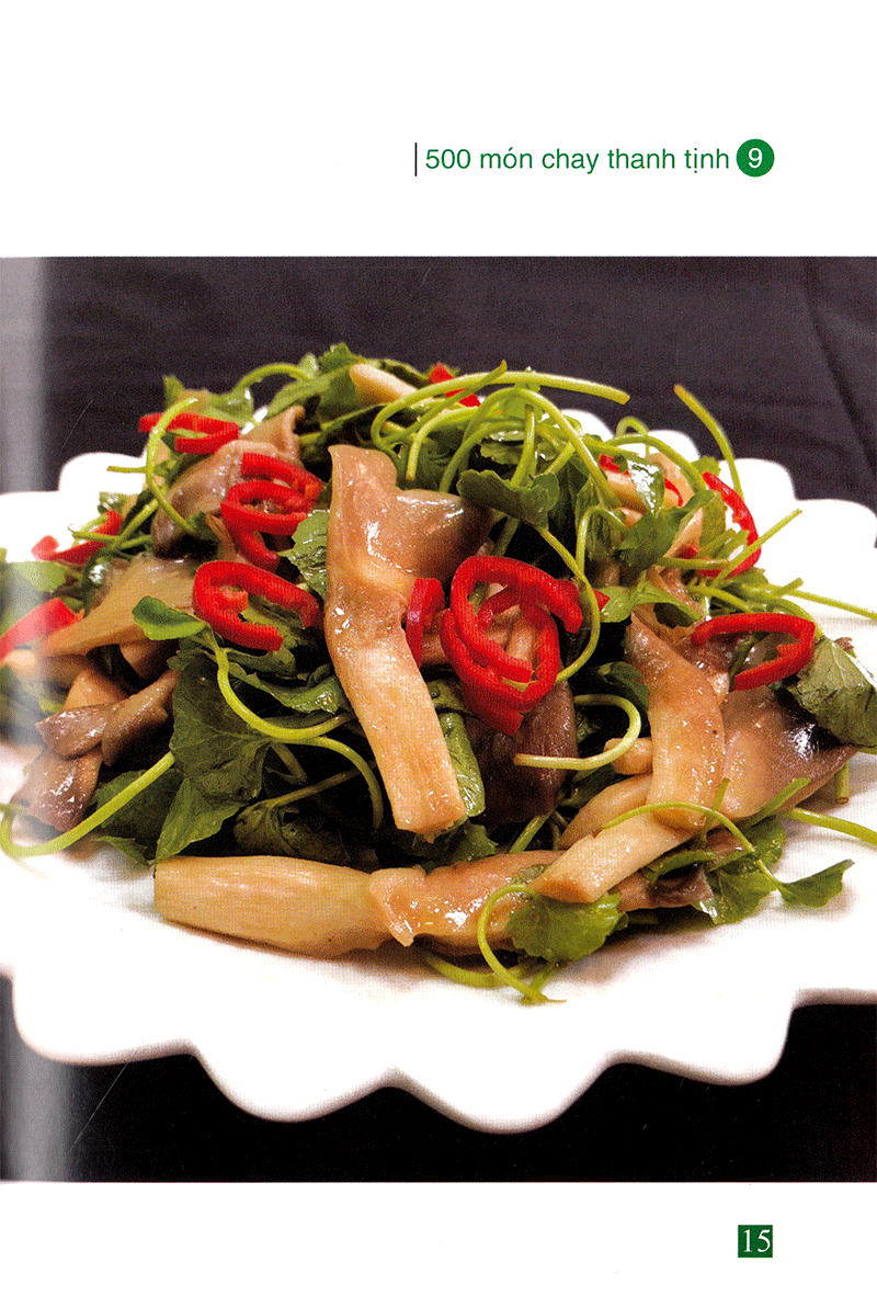 bộ 500 món chay thanh tịnh - tập 9