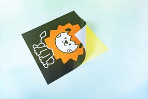 bộ 6 tranh decal kích thích thị giác - đen trắng và màu