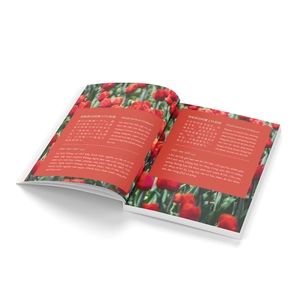 bộ 999 lá thư gửi cho chính mình - những lá thư ấn tượng nhất - tập 2 (phiên bản song ngữ trung-việt)