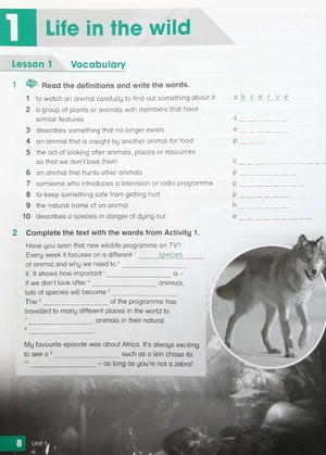 bộ academy stars 6 wb