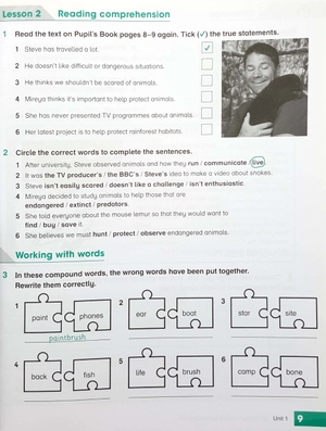 bộ academy stars 6 wb