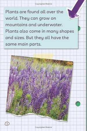 bộ ada twist, scientist: the why files #2: all about plants!