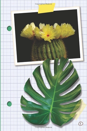 bộ ada twist, scientist: the why files #2: all about plants!