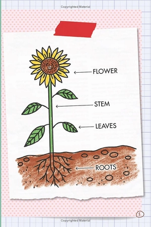 bộ ada twist, scientist: the why files #2: all about plants!