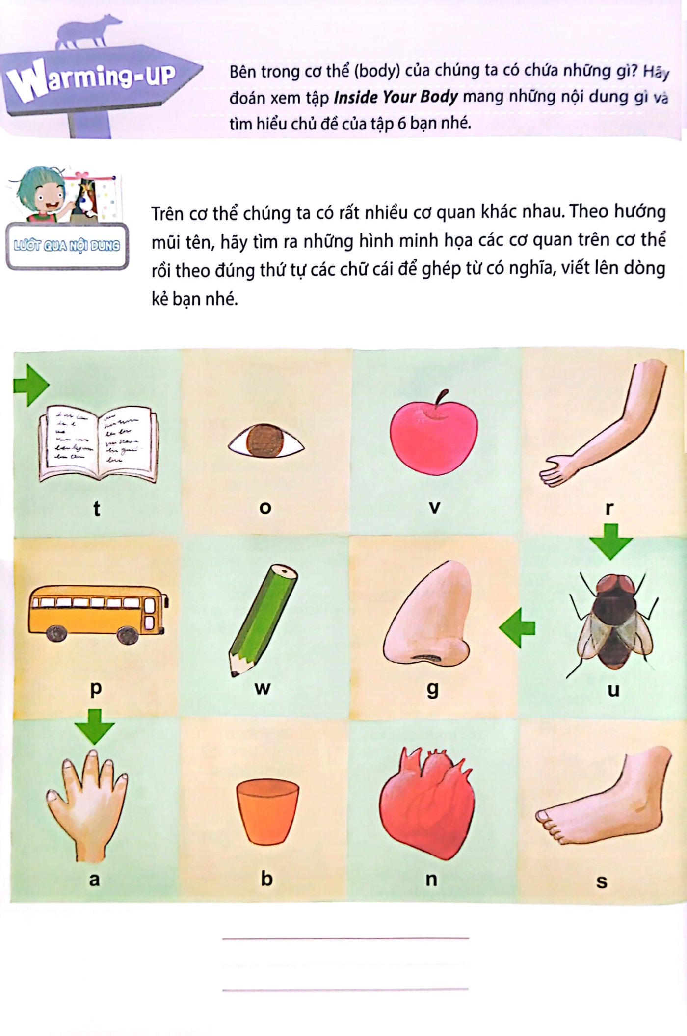 bộ all story - inside your body - bên trong cơ thể bạn - trình độ 2 (tập 6)