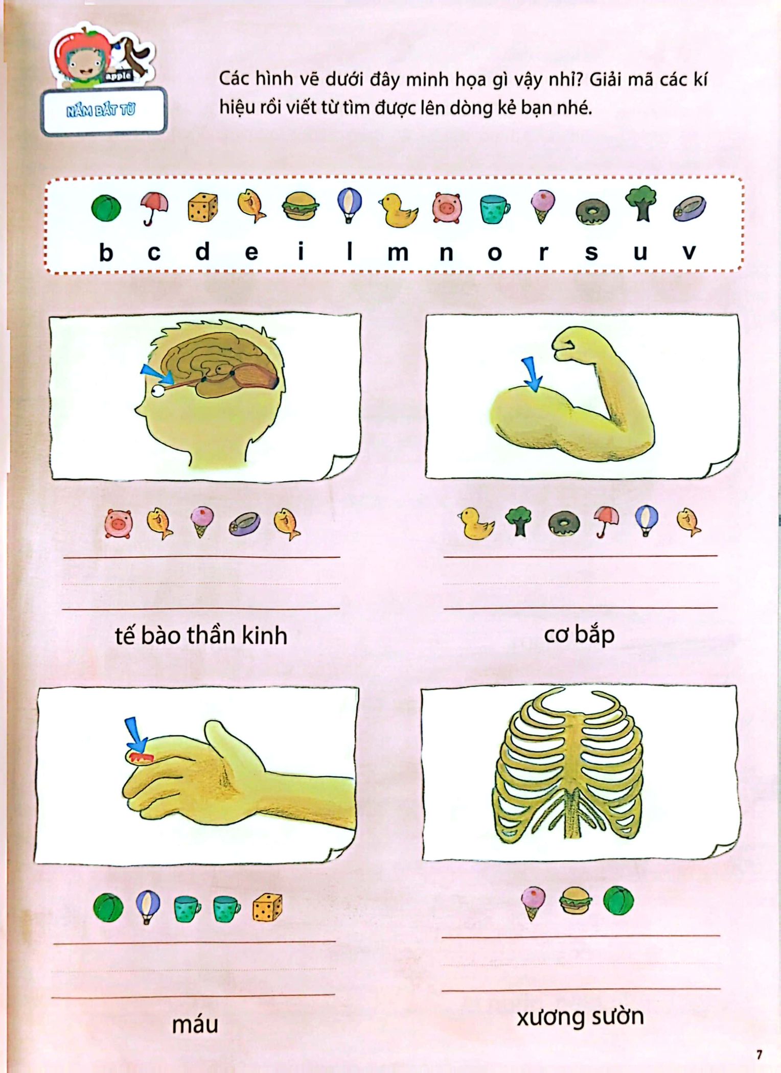 bộ all story - inside your body - bên trong cơ thể bạn - trình độ 2 (tập 6)
