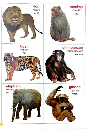 bộ bách khoa bằng hình đầu tiên cho bé 2 - chủ đề thế giới động vật