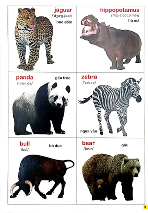 bộ bách khoa bằng hình đầu tiên cho bé 2 - chủ đề thế giới động vật