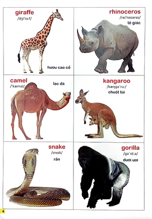 bộ bách khoa bằng hình đầu tiên cho bé 2 - chủ đề thế giới động vật