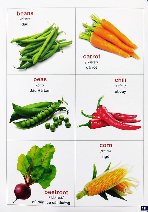 Bộ Bách Khoa Bằng Hình Đầu Tiên Cho Bé 3 - Chủ Đề Các Loài Hoa, Loại Củ, Rau Củ