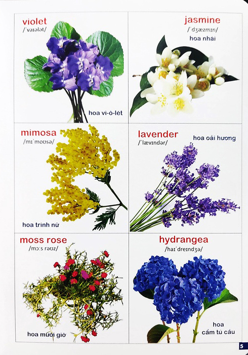 Bộ Bách Khoa Bằng Hình Đầu Tiên Cho Bé 3 - Chủ Đề Các Loài Hoa, Loại Củ, Rau Củ