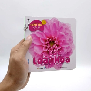 bộ bách khoa toàn thư cho bé - các loài hoa (bộ 5 cuốn)