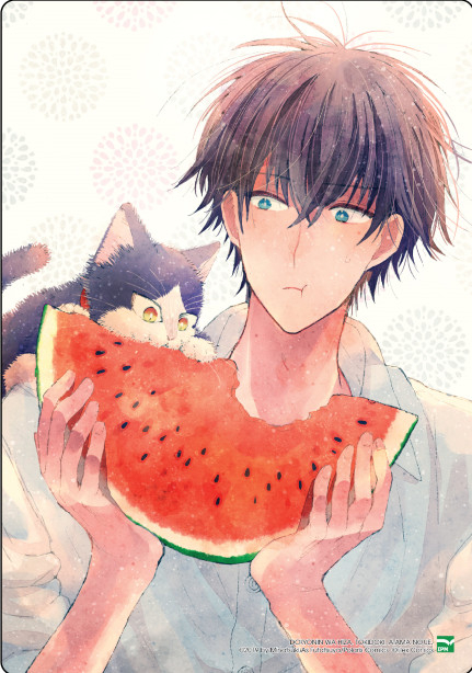 bộ bạn cùng nhà thi thoảng trèo lên đầu tôi - tập 5 - bản đặc biệt - tặng kèm card ppvc mèo nổ + extra paper + set 5 card ivory + khung ảnh đựng card