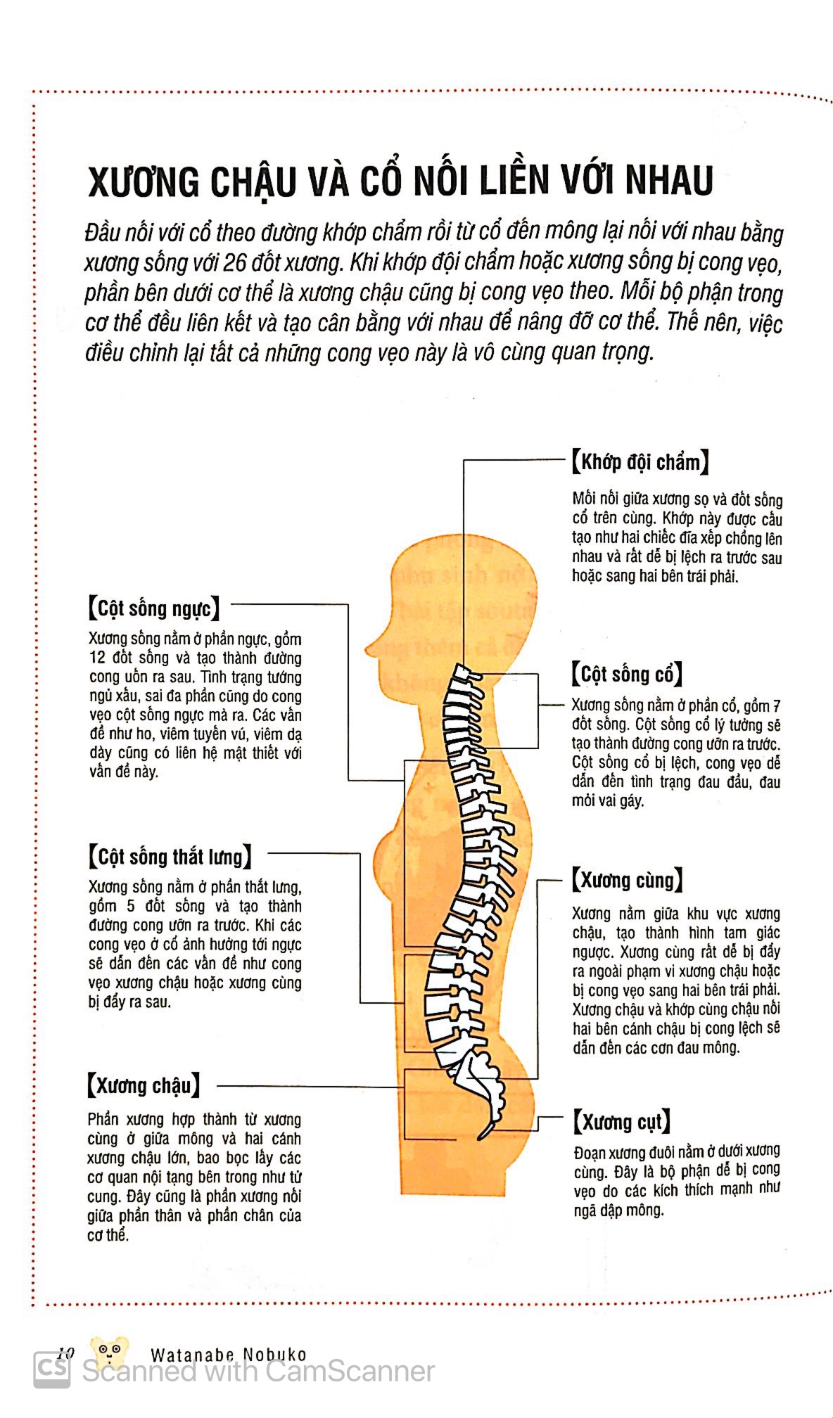 bộ bảo dưỡng khung xương chậu 3 - thổi bay mỏi vai nhức đầu
