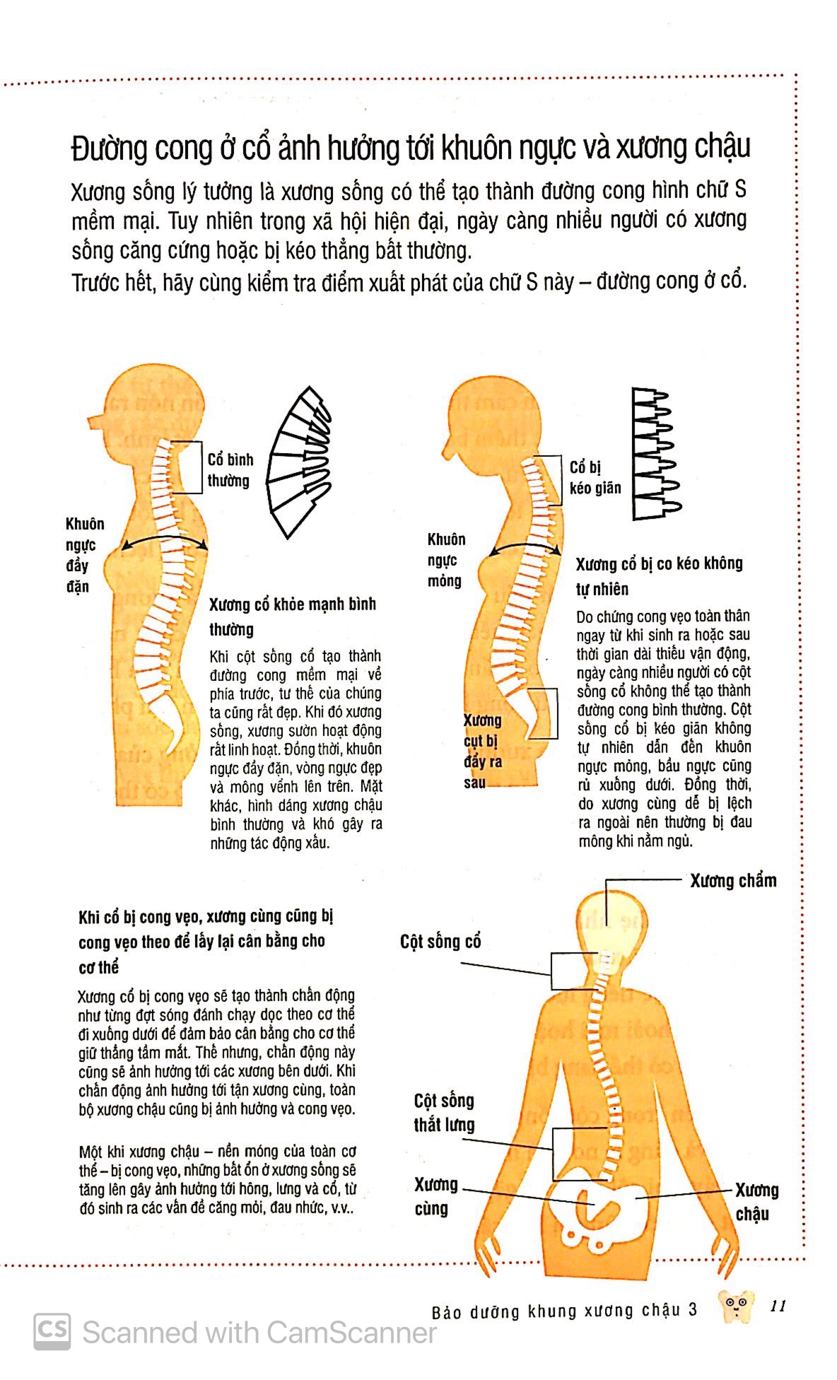 bộ bảo dưỡng khung xương chậu 3 - thổi bay mỏi vai nhức đầu