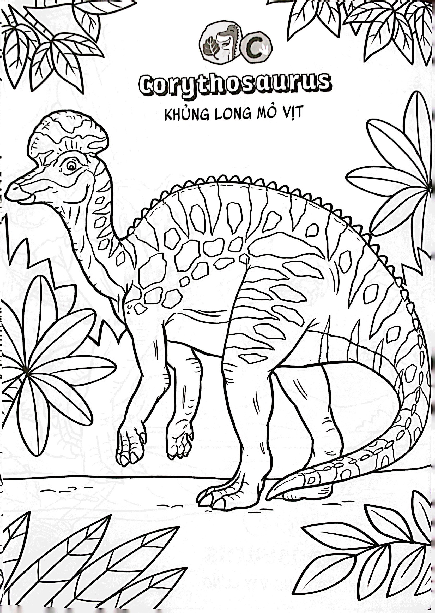 bộ bé học-bé chơi - tô màu vương quốc khủng long 3