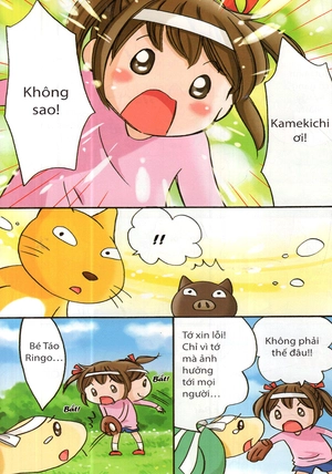 bộ bé táo ringo và những người bạn trong khu rừng ánh sáng (tập 3)