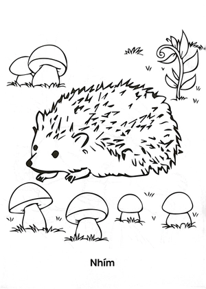 bộ bé tập tô màu - thảo cầm viên của em - tập 3