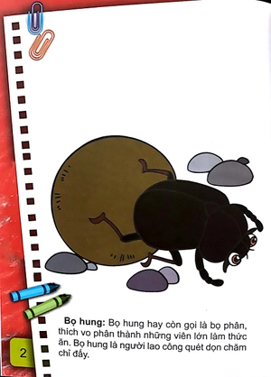 bộ bé tô màu (2-6+) - những con côn trùng bé nhỏ - tập 1 (tái bản 2017)