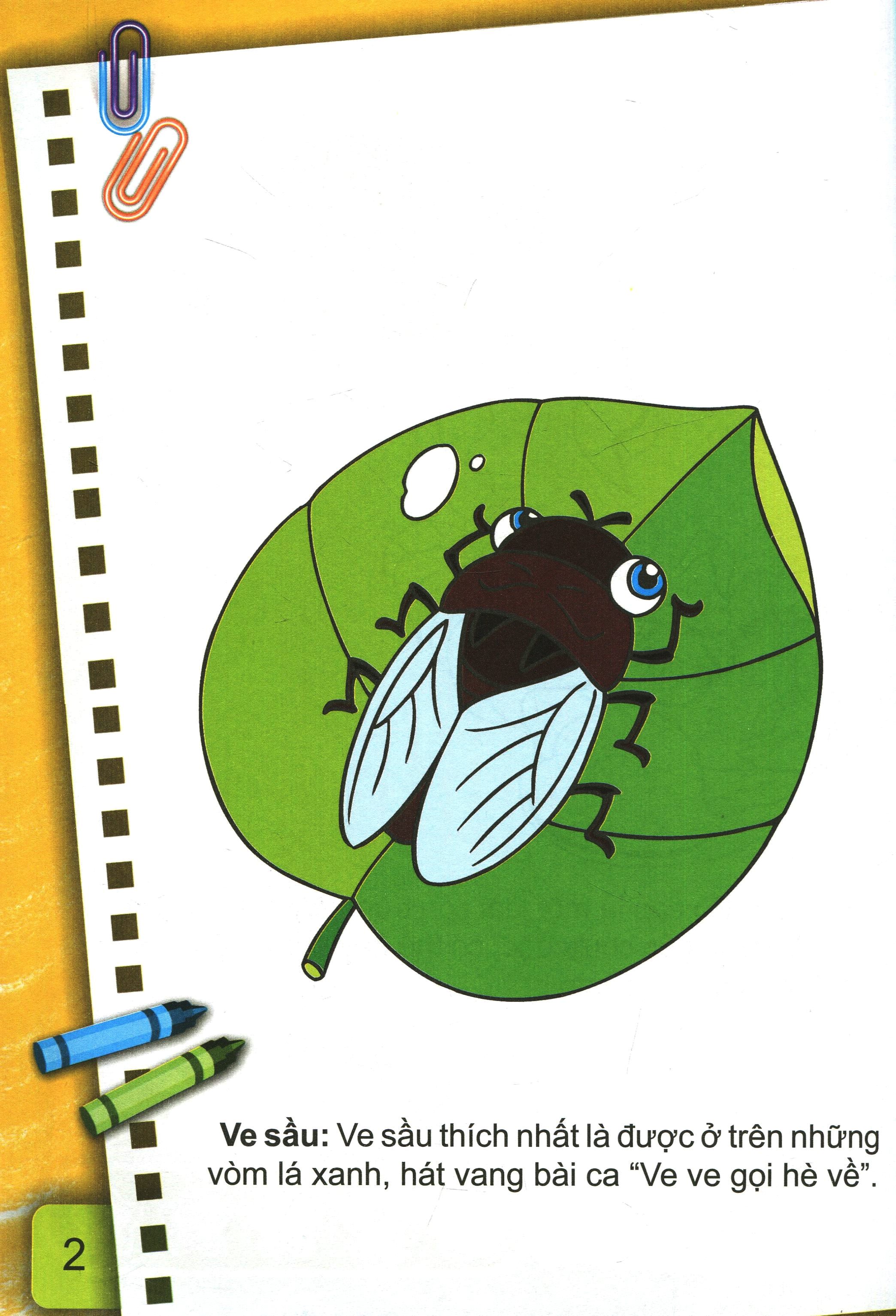 bộ bé tô màu (2-6+) - những con côn trùng bé nhỏ - tập 2 (tái bản 2017)