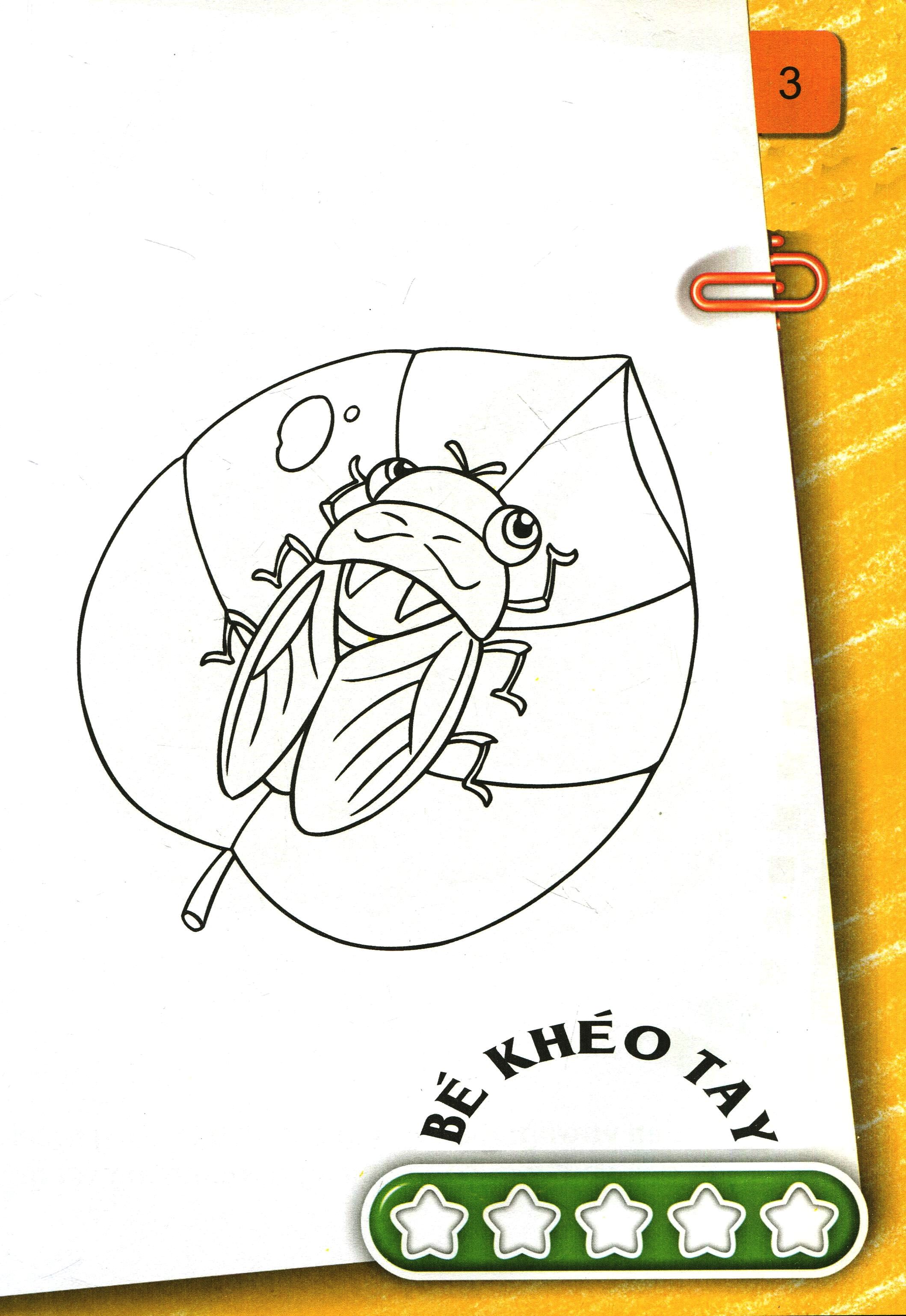 bộ bé tô màu (2-6+) - những con côn trùng bé nhỏ - tập 2 (tái bản 2017)