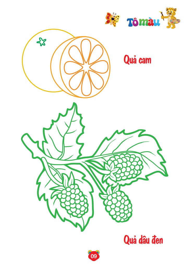 bộ bé tô màu thế giới xung quanh song ngữ anh - việt - trái cây (quyển 8)