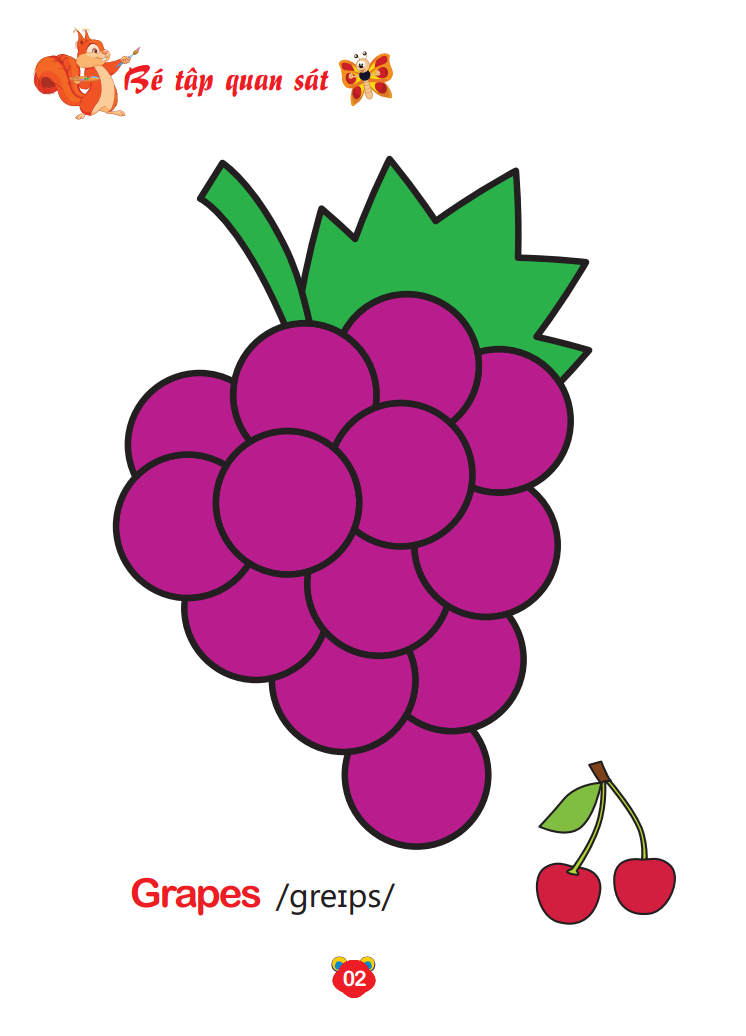 bộ bé tô màu thế giới xung quanh song ngữ anh - việt - trái cây (quyển 8)