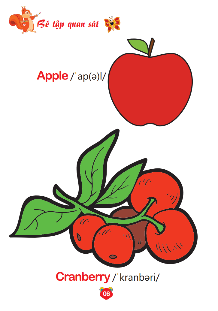 bộ bé tô màu thế giới xung quanh song ngữ anh - việt - trái cây (quyển 8)