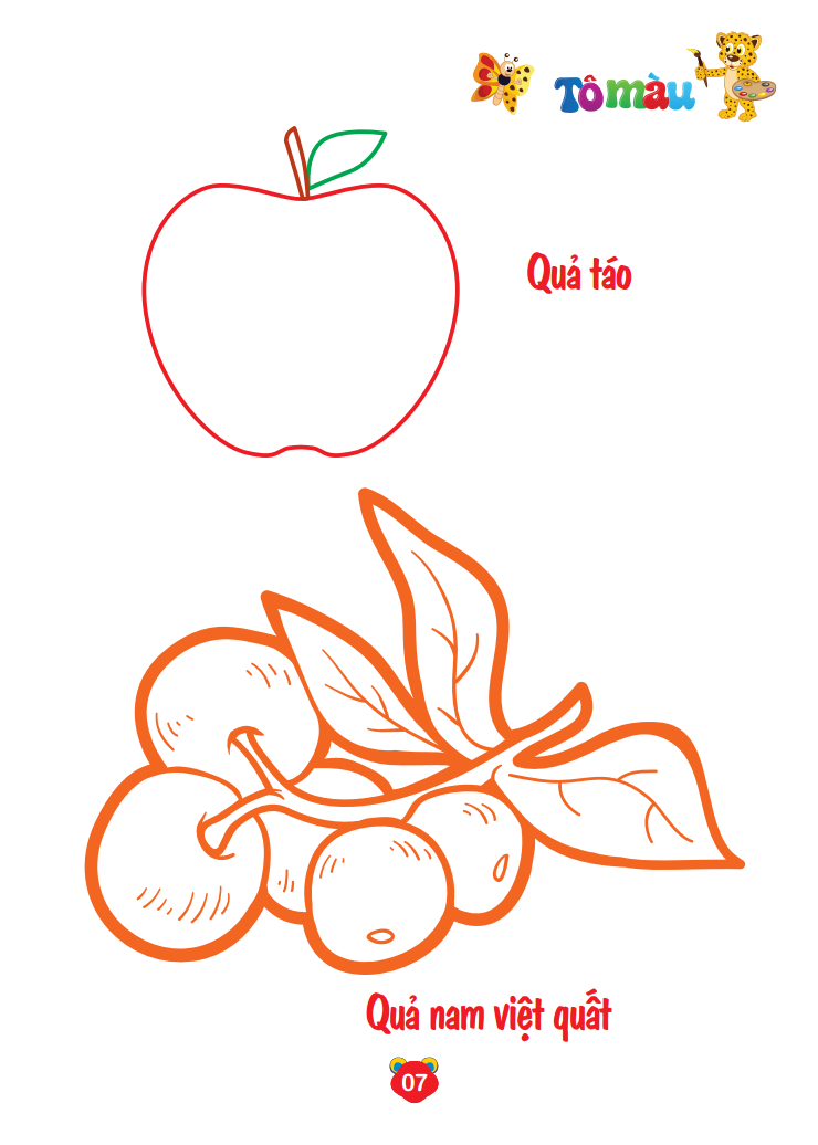 bộ bé tô màu thế giới xung quanh song ngữ anh - việt - trái cây (quyển 8)