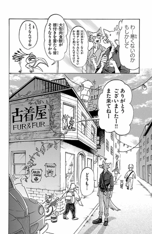 bộ beastars 14