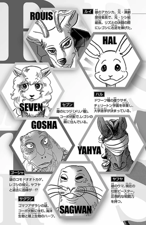 bộ beastars 14
