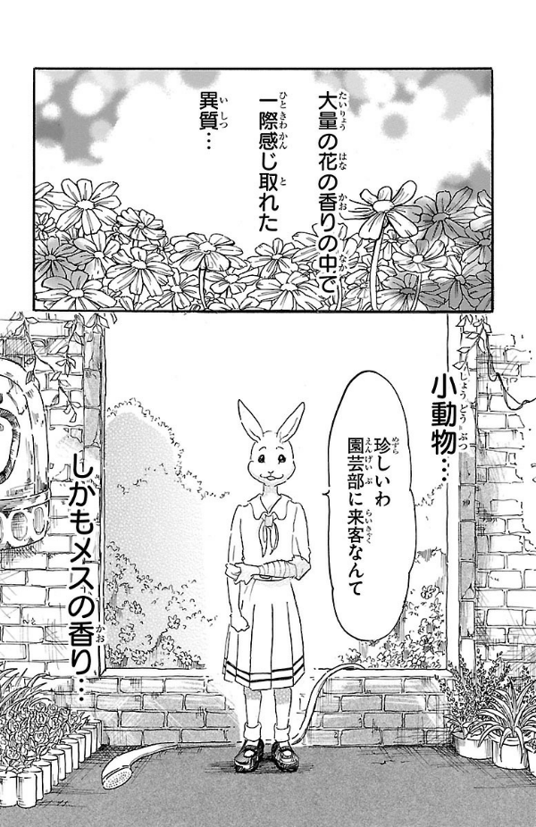 bộ beastars 2