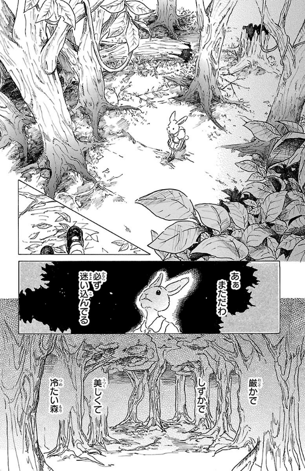 bộ beastars 4