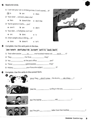 bộ beehive level 5: workbook