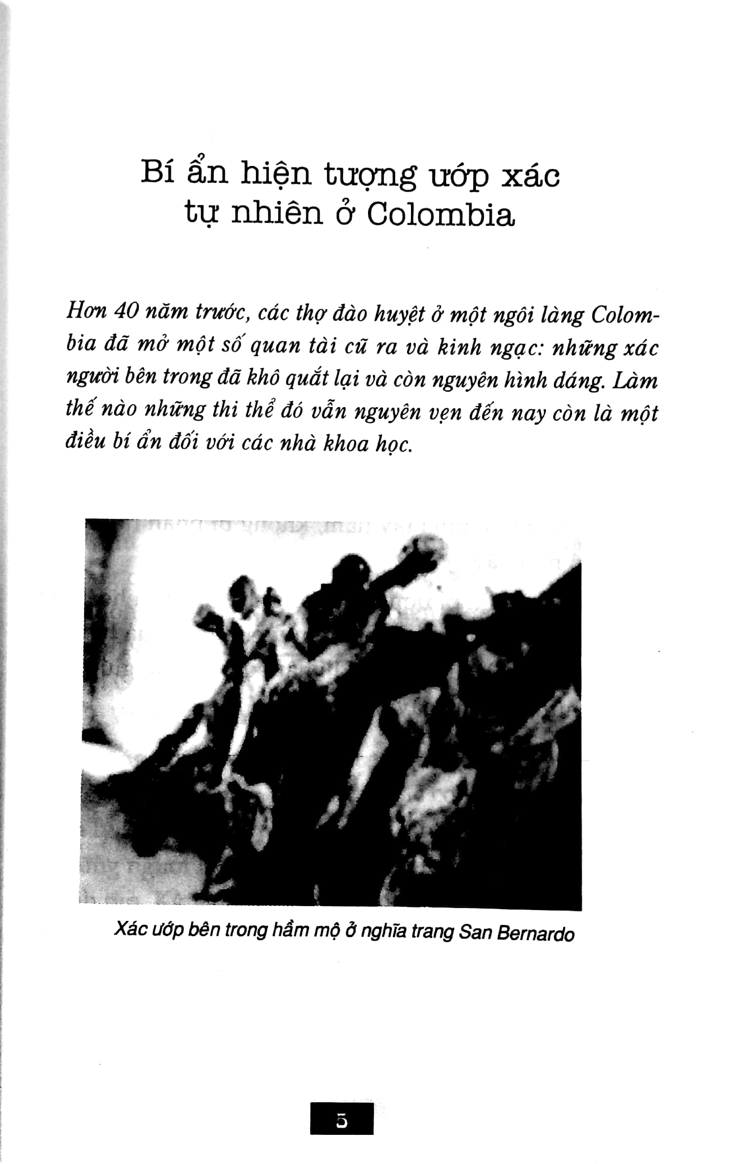 bộ bí ẩn mãi mãi là bí ẩn 02 (tái bản 2022)