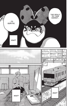 bộ blue period 13 (english edition)