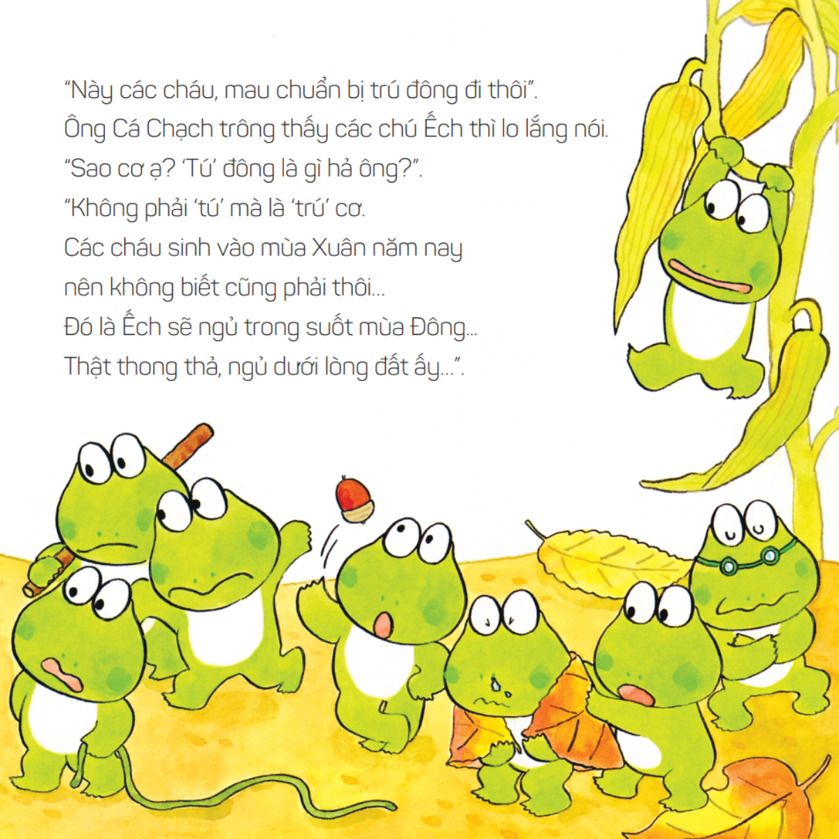 Bộ
						
										
										Bộ Sách Ehon Nhật Bản - 10 Chú Ếch - Phần 1 - Tập 1-6 (Bộ 6 Cuốn)