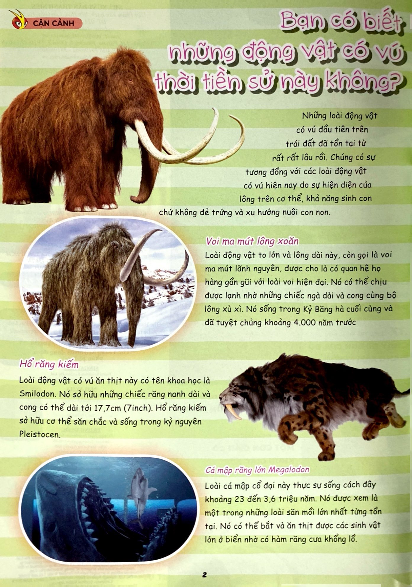 bộ bộ sách the young scientist - truyện tranh khoa học cho trẻ em - tập 5 - level 1+2+3 (bộ 3 cuốn) - tặng kèm túi gôm 3d hoohoohaha® ngẫu nhiên